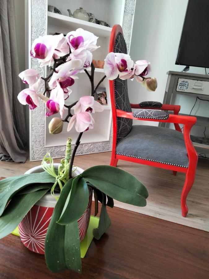 Les Chambres Hautes D'Anastasia Rodez Ngoại thất bức ảnh